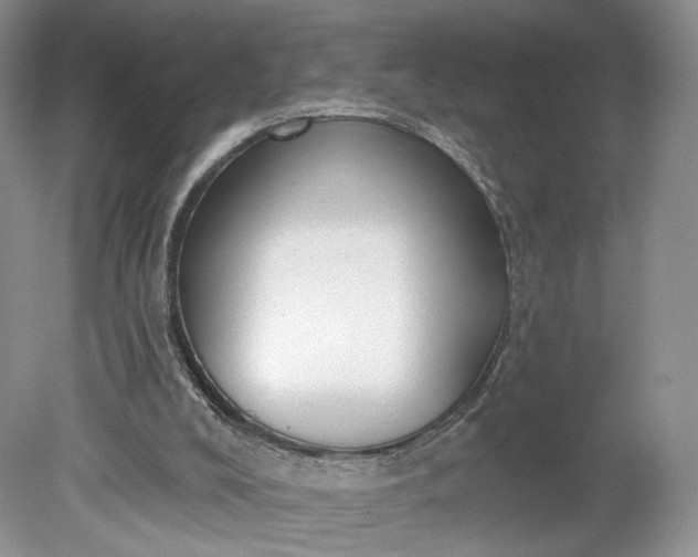 X0000078870008200611271313