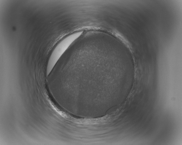 X0000078870009200611271313