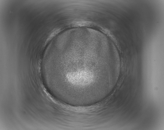 X0000078870010200611271313