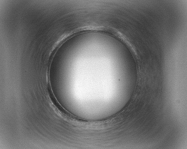 X0000078870011200611271313