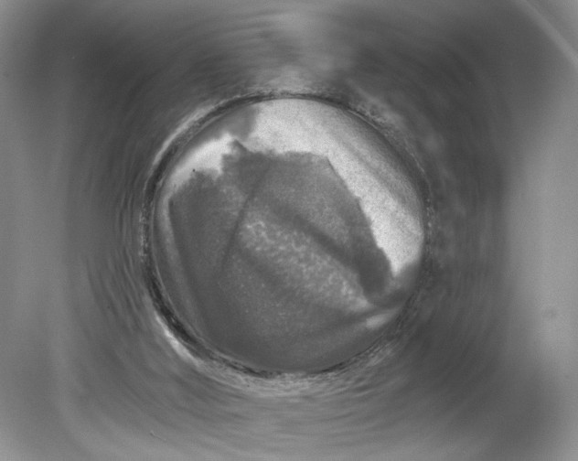 X0000078870012200611271313