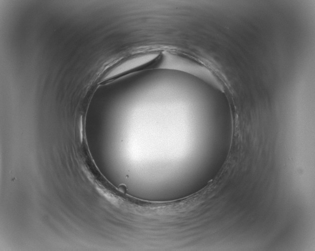 X0000078870013200611271313