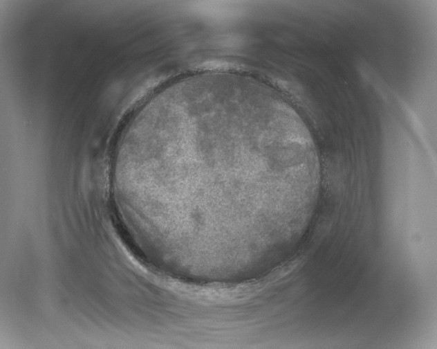 X0000078870016200611271313