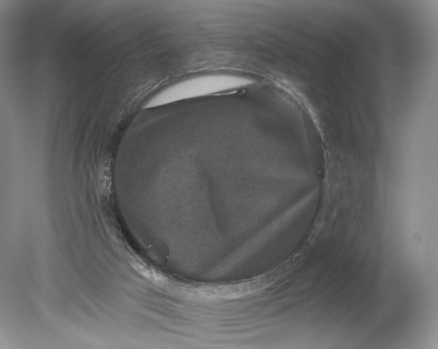 X0000078870017200611271313