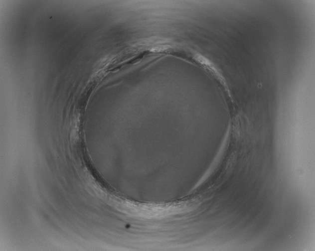 X0000078870018200611271313