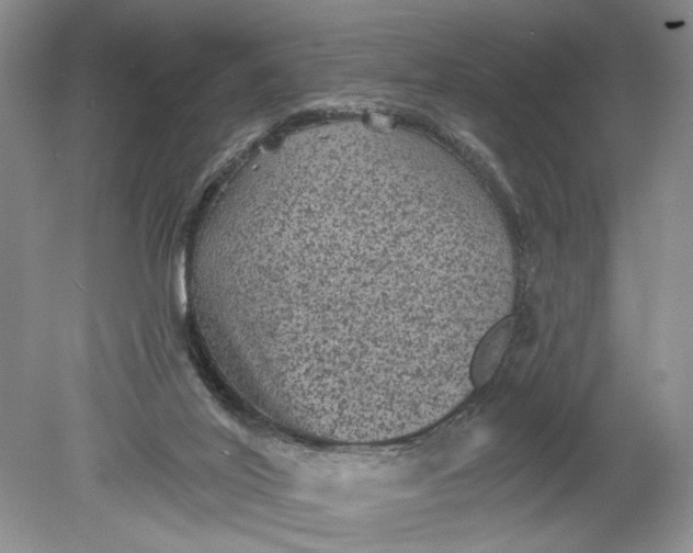 X0000078870020200611271313