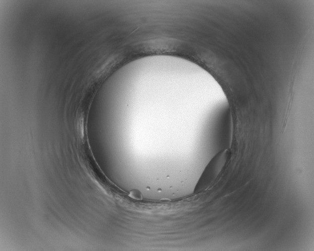 X0000078870021200611271312