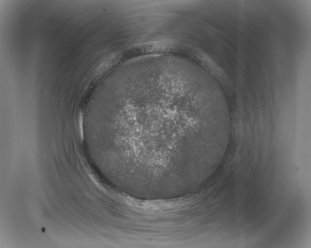 X0000078870022200611271312