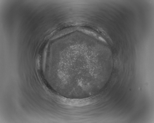 X0000078870026200611271312