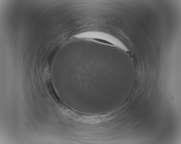 X0000078870029200611271312