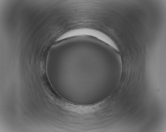 X0000078870031200611271312