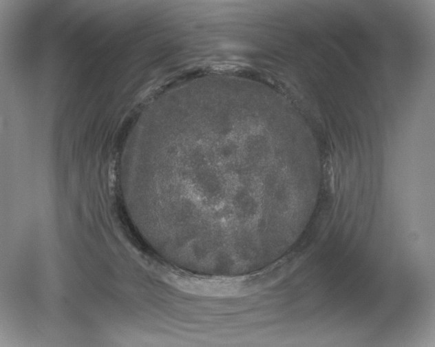 X0000078870032200611271312