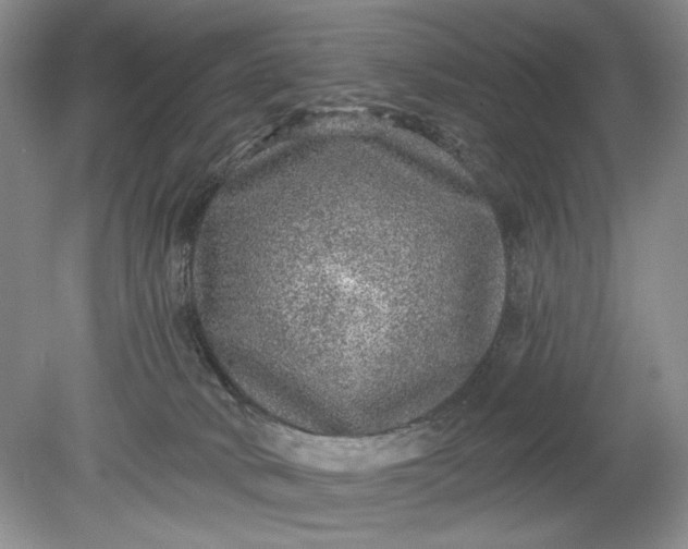 X0000078870034200611271312