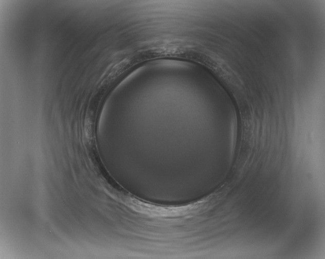 X0000078870035200611271312