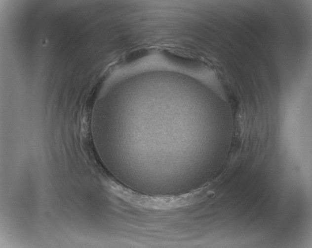 X0000078870037200611271312