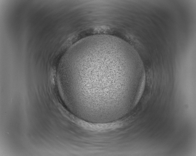 X0000078870038200611271312