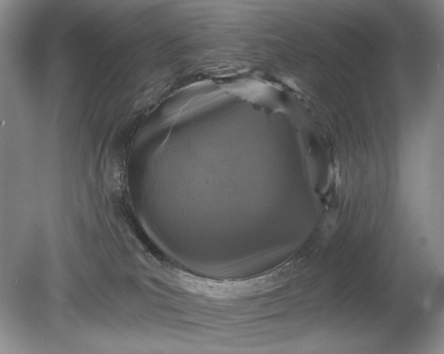 X0000078870039200611271312