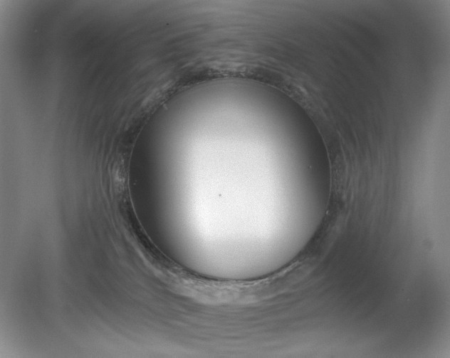 X0000078870040200611271312