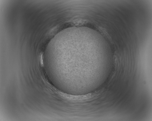 X0000078870042200611271312