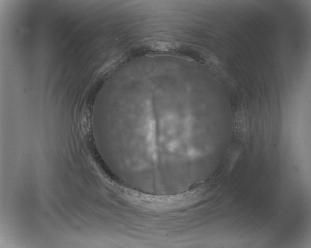 X0000078870043200611271312