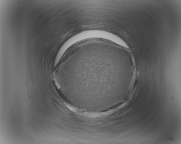 X0000078870045200611271312