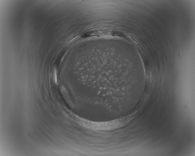 X0000078870046200611271312