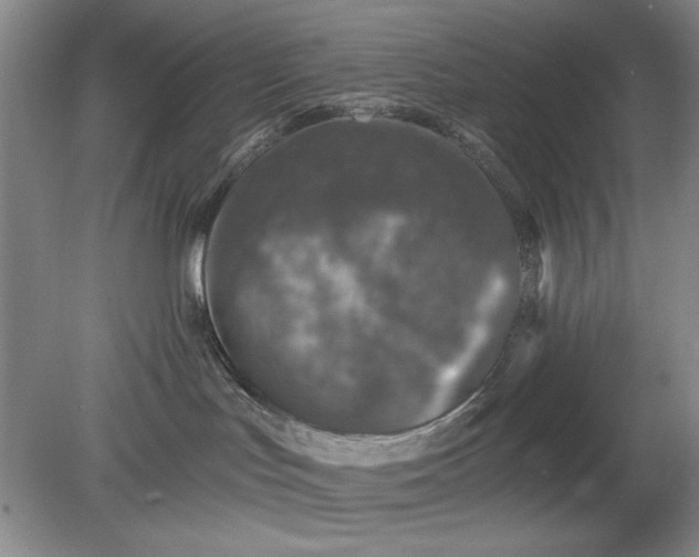 X0000078870047200611271312