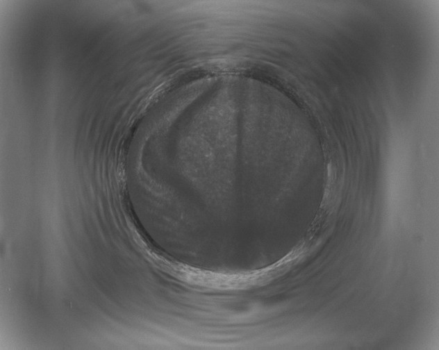 X0000078870048200611271312