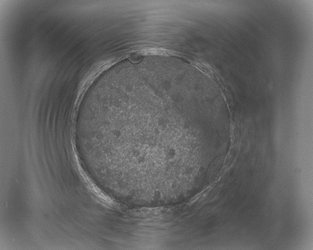 X0000078870049200611271311