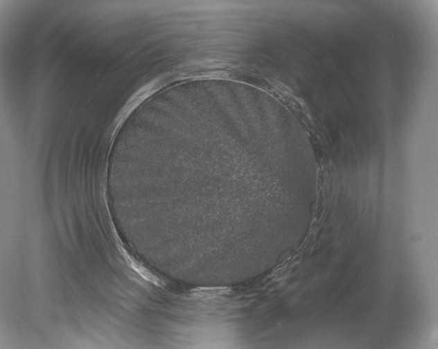 X0000078870051200611271311