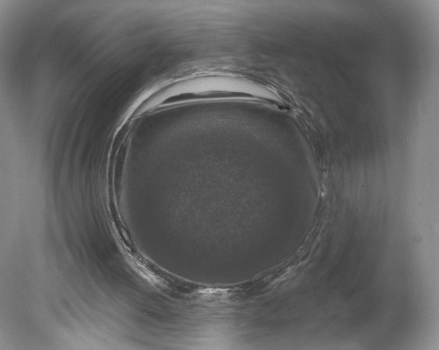 X0000078870052200611271311