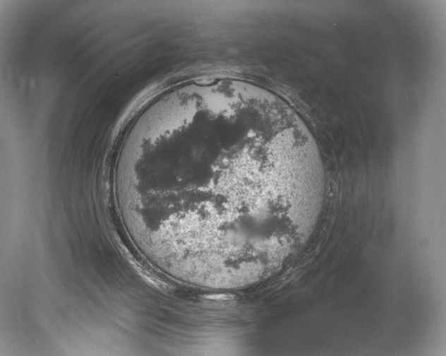 X0000078870053200611271311