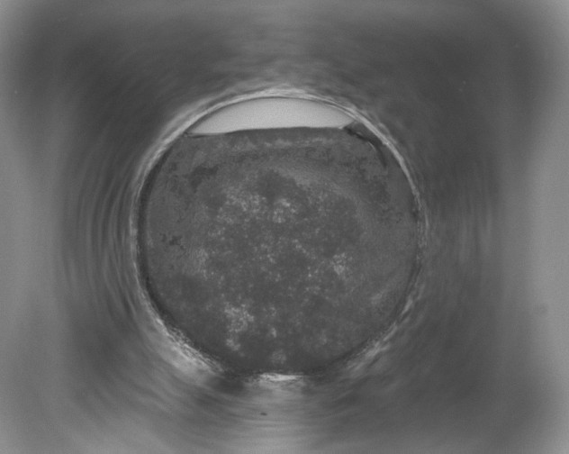 X0000078870055200611271311