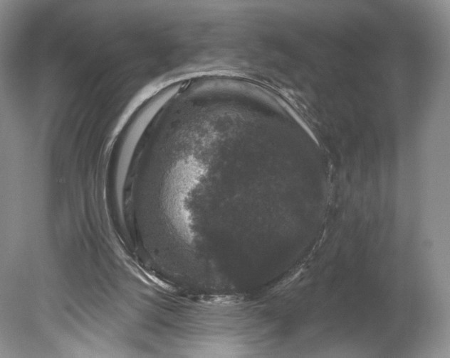 X0000078870056200611271311