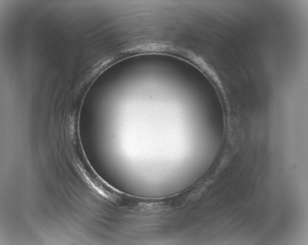 X0000078870057200611271311