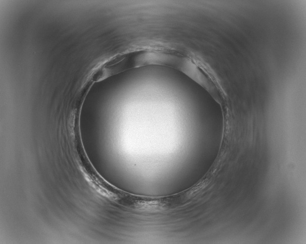 X0000078870058200611271311