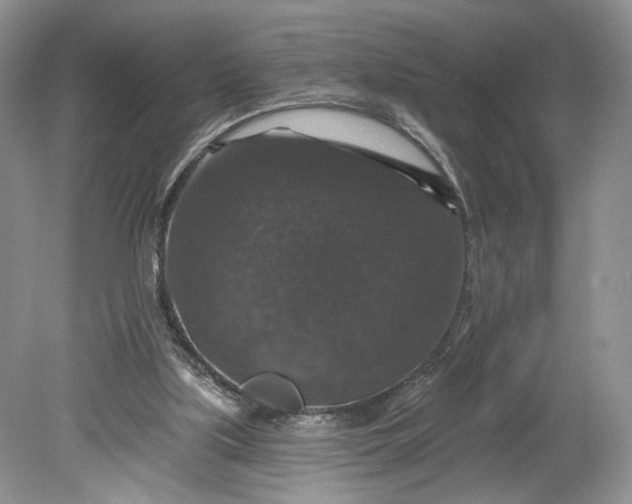 X0000078870059200611271311