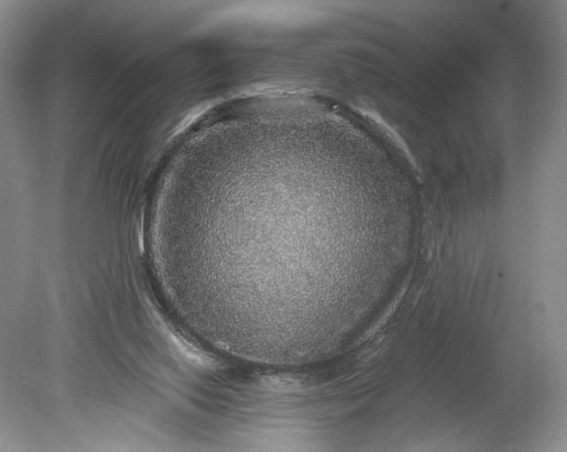 X0000078870062200611271311