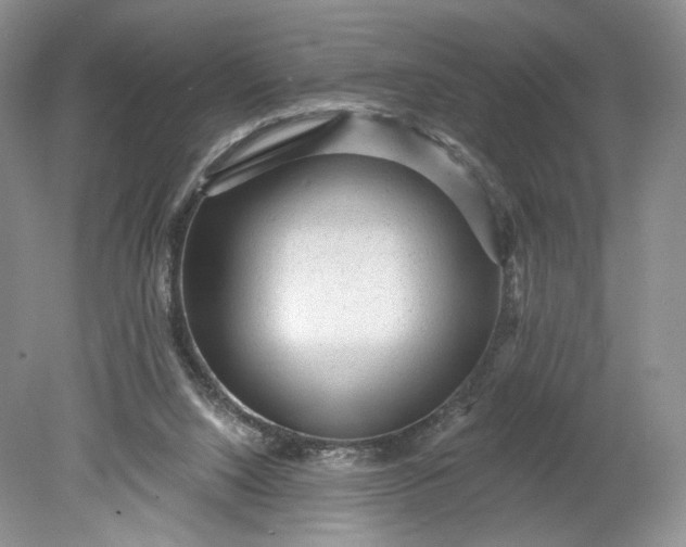 X0000078870064200611271311