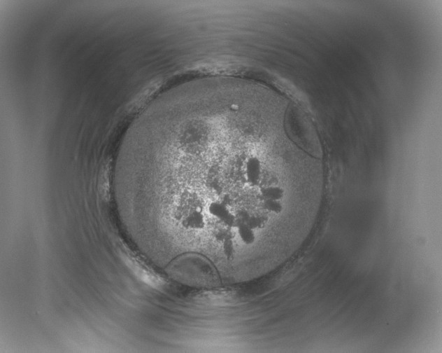 X0000078870065200611271311