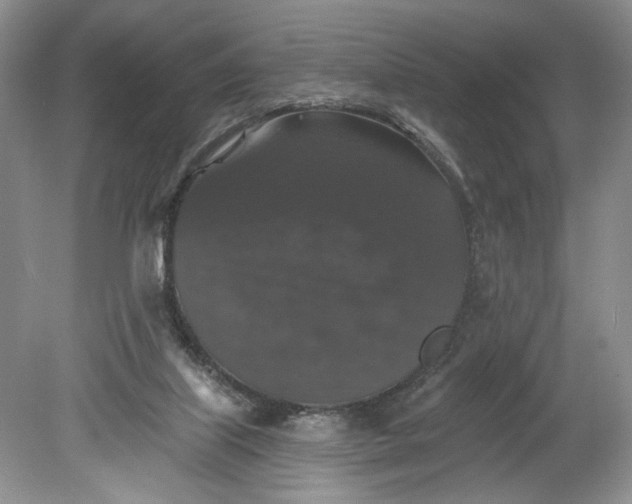 X0000078870067200611271312