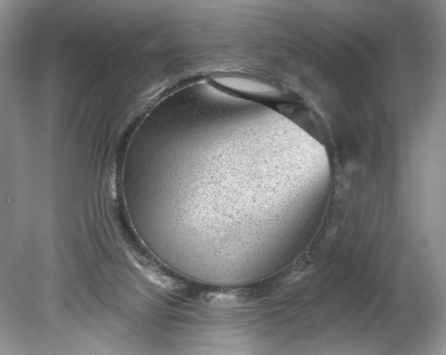 X0000078870068200611271312