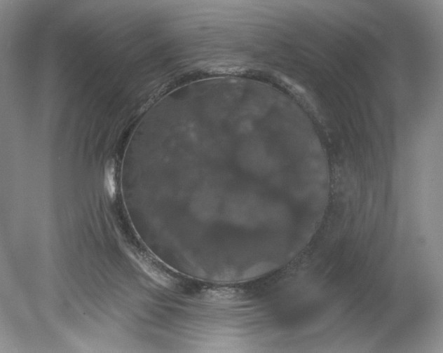 X0000078870069200611271312