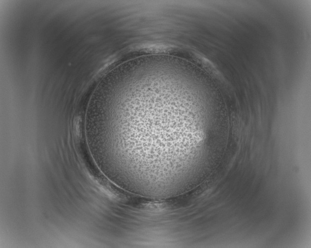 X0000078870071200611271312