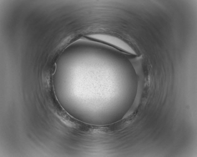 X0000078870072200611271312