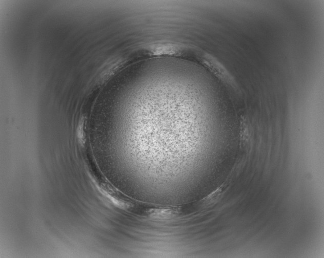 X0000078870074200611271312