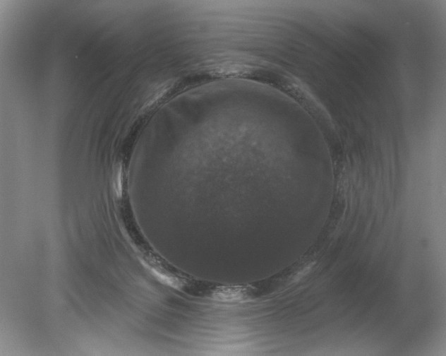 X0000078870076200611271312