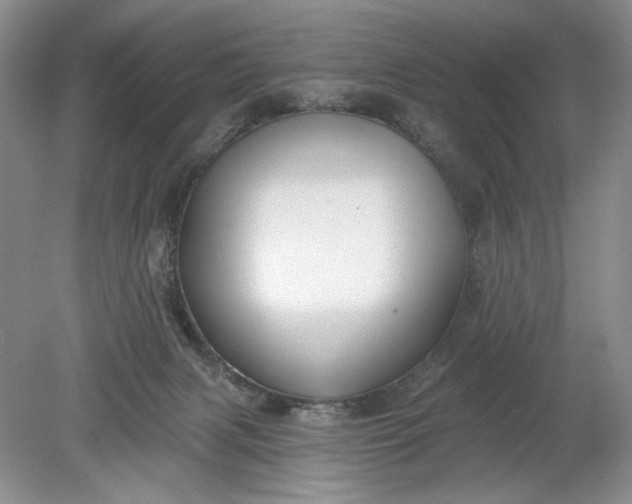 X0000078870079200611271312