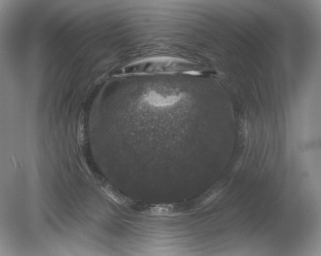 X0000078870080200611271312