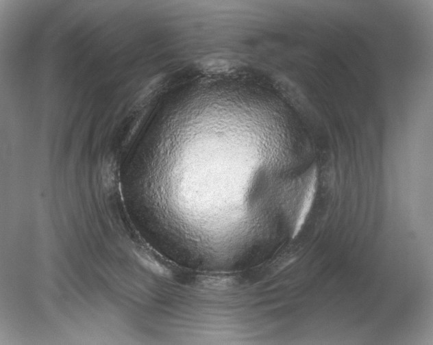 X0000078870081200611271312